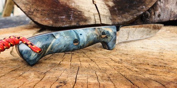 Dama-2.0-Blue-Horse-Chestnut-Scales-scaled-1